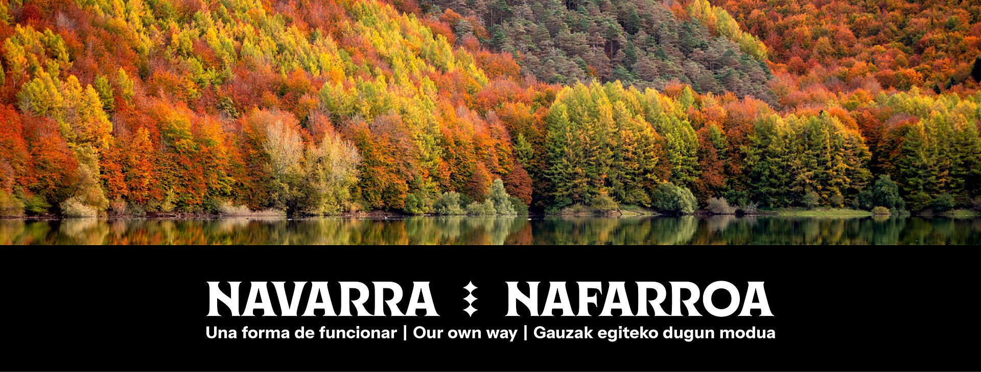 La Selva de Irati y, debajo, uno de los logotipos de Marca Navarra, con las palabras 'Navarra, Nafarroa, una forma de funcionar'