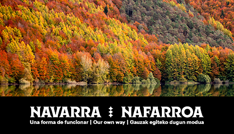 La Selva de Irati y, debajo, uno de los logotipos de Marca Navarra, con las palabras 'Navarra, Nafarroa, una forma de funcionar'